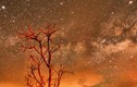 Ảnh cực hiếm thiên hà Milky Way chìm trong “biển lửa“