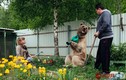Cặp đôi người Nga "lập dị" nuôi gấu khổng lồ làm thú cưng