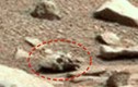 Kỳ bí ảnh giống sọ người ngoài hành tinh trên sao Hỏa 
