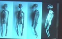 5 xác ướp người ngoài hành tinh tìm thấy ở Peru?