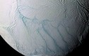 Phát hiện bất ngờ về vi khuẩn trên Mặt trăng Enceladus