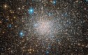 Ấn tượng cụm sao Messier 79 khủng nhất vũ trụ