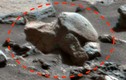 Bí ẩn vật thể như hóa thạch rùa cổ trên sao Hỏa