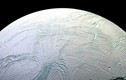 Phát hiện "sốc" về vi khuẩn ngoại lai trên Mặt trăng Enceladus