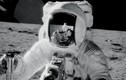 Ảnh sứ mệnh Apollo 12 quý báu vừa công bố của NASA 