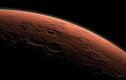 Sửng sốt thông tin đá sao Hỏa có thể chứa dấu hiệu sự sống