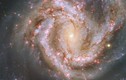 Khám phá diện mạo mới thiên hà xoắn ốc Messier 61
