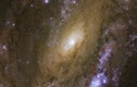 Phát hiện kinh ngạc quanh thiên hà xoắn ốc NGC 4051