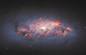 Góc nhìn lạ về thiên hà hình thành sao bụi bặm NGC 972