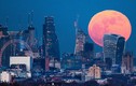 Cơ hội chiêm ngưỡng Siêu trăng Hồng vào Tháng Tư