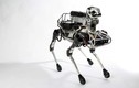 Cận cảnh robot mang hình thù “thú cưng” có thể làm việc nhà