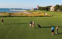 Harbor Town Golf Links: Sân đấu thách thức người chơi nhất trong lịch trình PGA Tour