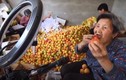 Bà Tân Vlog “made in Trung Quốc” chỉ livestream bán mơ cũng hút triệu view