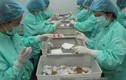 Bất ngờ sốc về tiến độ nghiên cứu vaccine phòng COVID-19 tại Việt Nam