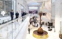 Khám phá bảo tàng socola độc nhất vô nhị trên thế giới