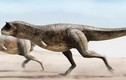 Nóng: Phát hiện loài khủng long ăn thịt mới cực khác thường 