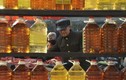 Cty nghi bán dầu bẩn cho Đài Loan bị kết luận gian lận