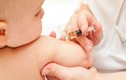8 loại tiêm phòng vắc xin cần thiết cho trẻ nhỏ
