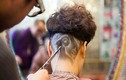Nổi tiếng vì cắt tóc tạo hình con dê độc đáo