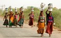Kì lạ: Lấy vợ Ấn Độ chỉ để chuyên xách nước