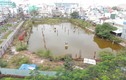 Cận cảnh 2 dự án “khủng” ở Đà Nẵng nguy cơ bị thu hồi