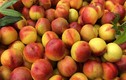 3 loại trái cây mùa hè bị xử lý hóa học nhiều nhất, chớ dại ăn!