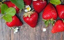 Loại trái cây “ngậm” thuốc trừ sâu, nhiều người ăn không biết