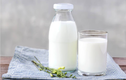 Bật mí “giờ vàng” uống sữa, cơ thể hấp thu dinh dưỡng tối đa