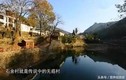 Kỳ lạ làng không ung thư ở Trung Quốc, “phép màu” từ cây này
