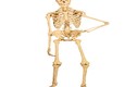 Những điều chưa biết về hệ thống xương trong cơ thể