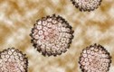 Điều chưa biết về HPV và bệnh ung thư miệng