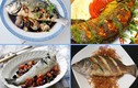7 món ăn ngon tuyệt đỉnh từ cá vược đặc sản Hải Phòng