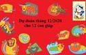 Dự đoán tháng 12/2020 cho 12 con giáp: Dậu đen chí mạng