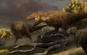 Hóa thạch 76,5 triệu năm tiết lộ tổ tiên "máu mặt" của T-rex 