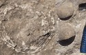 Phát hiện hóa thạch “trứng trong trứng” của khủng long, chuyên gia sửng sốt 