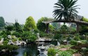 Những biệt thự sân vườn triệu đô xanh mướt của sao Việt
