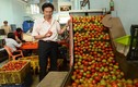 Cận cảnh máy đánh bóng cà chua của anh nông dân Lâm Đồng 