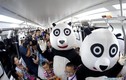 Thiết kế panda độc đáo của tàu điện ngầm ở Trung Quốc