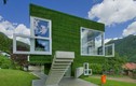 Căn nhà ấn tượng phủ kín cỏ xanh ở Áo