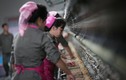 Hình ảnh dệt sợi tấp nập trong nhà máy lụa Triều Tiên 