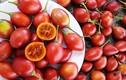 Cà chua lạ 1 triệu đồng/kg đang hot ở Hà Nội có gì độc?