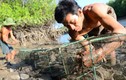 Mưu sinh bằng nghề bẫy bạch tuộc trong rừng ngập mặn  