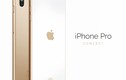 Ngây ngất trước iPhone Pro dùng cảm biến Touch ID trên màn hình