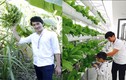 "Đột nhập" vào vườn rau xanh mướt mắt của sao nam Việt 