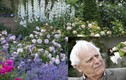 Mê mẩn vườn hồng hơn 1.000 gốc của cụ ông 91 tuổi