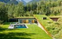 Vẻ đẹp của ngôi nhà mái cỏ cực độc nhất vô nhị