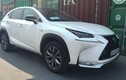 Lexus NX300h trị giá 3 tỷ đồng cập bến Việt Nam