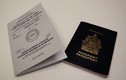 Làm thế nào để lấy bằng lái xe quốc tế?