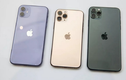 6 điều bạn chưa biết về những chiếc iphone 11 của apple