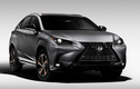 Xe sang Lexus NX 300 Black Line Special Edition 2020 trình làng